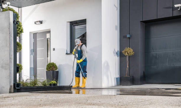Best Graffiti Removal  in Socorro, TX